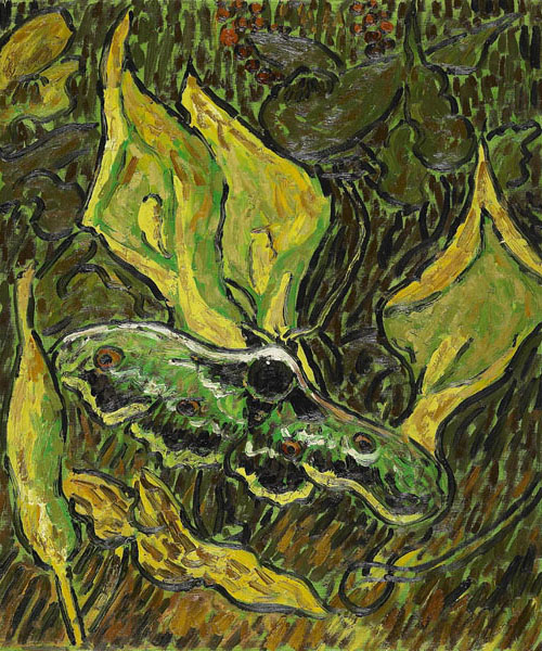 Emperor Moth by Vincent Van Gogh